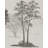 Khalid Peel & Stick Wall Mural-282087714