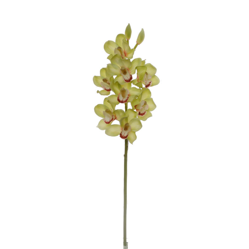 Tige en cymbidium de 30 po de hauteur avec 10 fleurs, Vert, 2