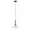 Luminaire suspendu simple à 1 lumière Dominguez