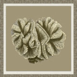 Graphic Coral Collection 4' Framed Graphic Art Print on Glass