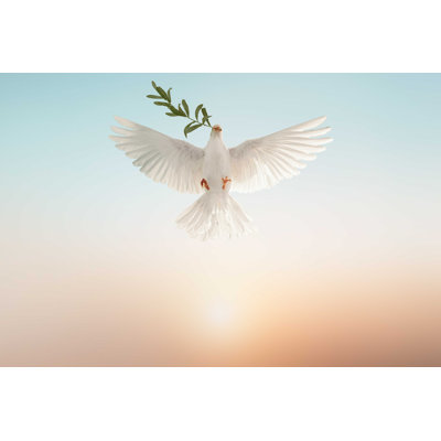 " White Dove Carrying Leaf " by Sakepaint