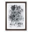 Fierce Lioness - Picture Frame Painting Print-56741477-56741480