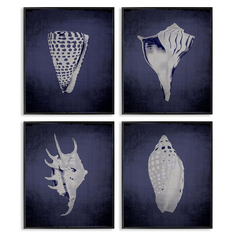  Shells on Indigo Gradient 4 PC, estampe numérique par Graffi * Tee Studios, H 20 po x l 16 po, Giclée encadrée noir minuit