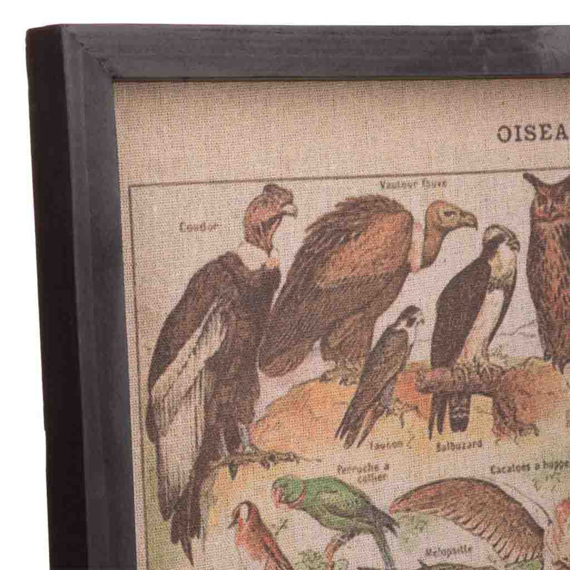 Single Picture Frame Print