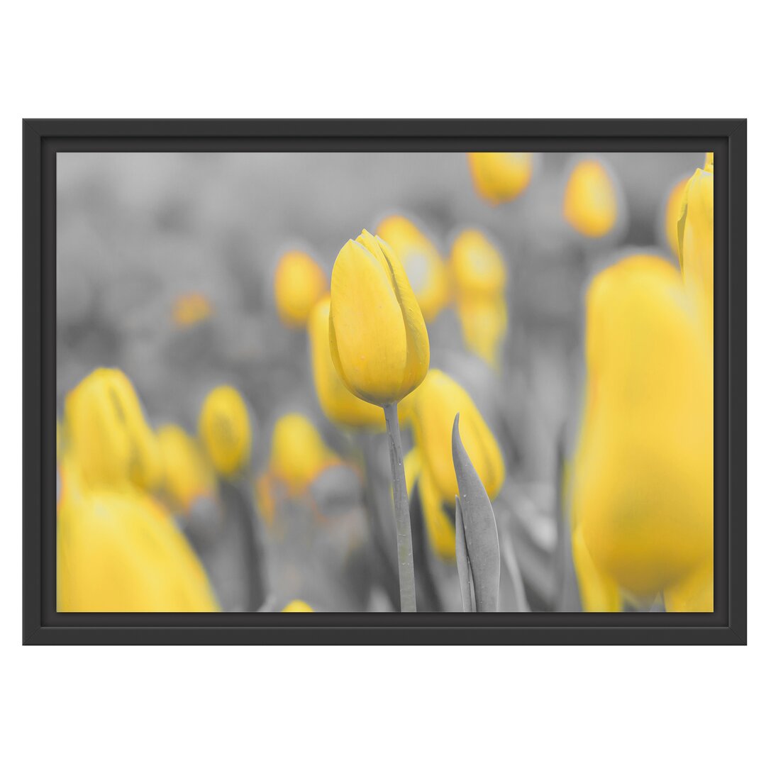 Gerahmtes Wandbild Gelbes Tulpenmeer