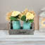 Centre de table Coon Blue Cozy-1773154448