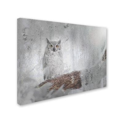 'Owl Dreams' Photographic Print on Wrapped Canvas