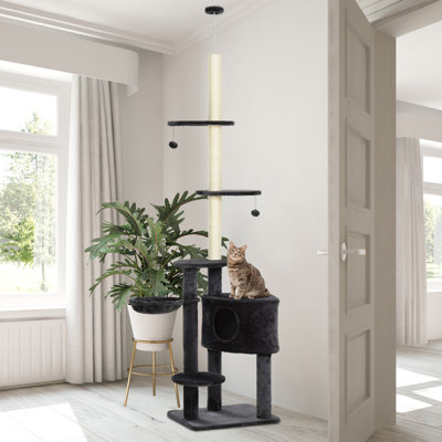 Shasta Cat Tree