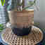 Customer photo 3 of 3