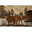 Alers Camouflage Woods Nature Lodge Cabin Indoor Rug-16344801