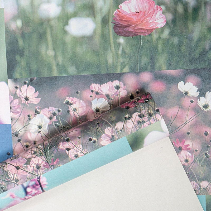 Nellie 10m x 53cm Matte Wallpaper Roll
