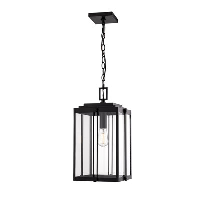 Ellert Outdoor Hanging Lantern