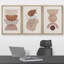 Bohemian-style Plants " Boho Mid-Century Geometric Figure Plant Sketch Abstract Illustrations Modern Art Bohemian Decor " 3 - Pieces-98696498-98696499