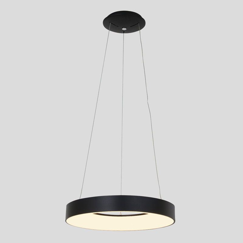 Birgitta LED Outdoor Pendant, Black