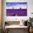 Alvord Valensole Lavender Fields-107704297
