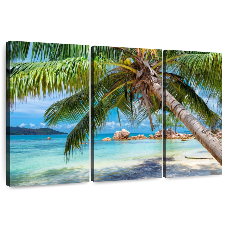 Gillard Coastal Palm, H 24 po x l 38 po