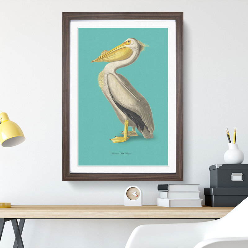 American Pelican in Teal by John Audubon - Framed Print, 90cm H x 65cm W x 2cm D, Walnut