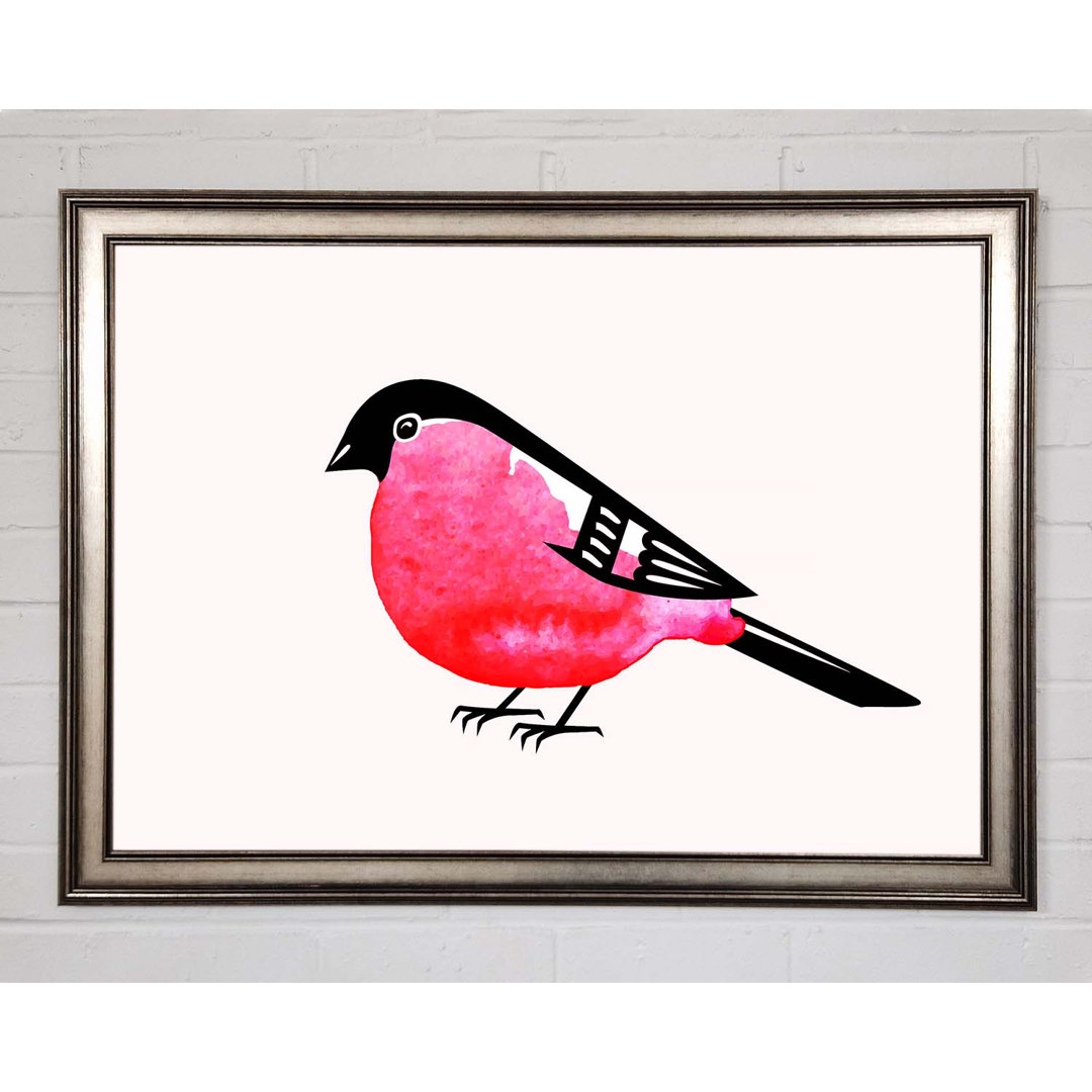 Gerahmtes Bild Pink Robin Breast