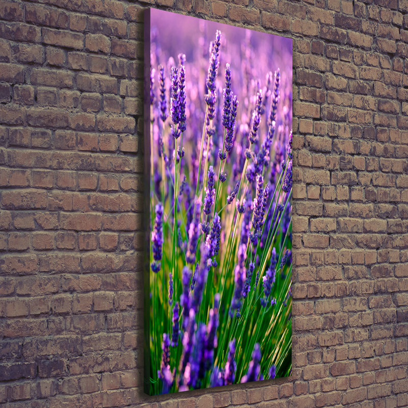Lavender Field - Wrapped Canvas Print