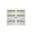 Armoire murale moderne à deux portes avec portes en verre trempé et rangement à trois niveaux pour une utilisation polyvalente à la maison-1820652136