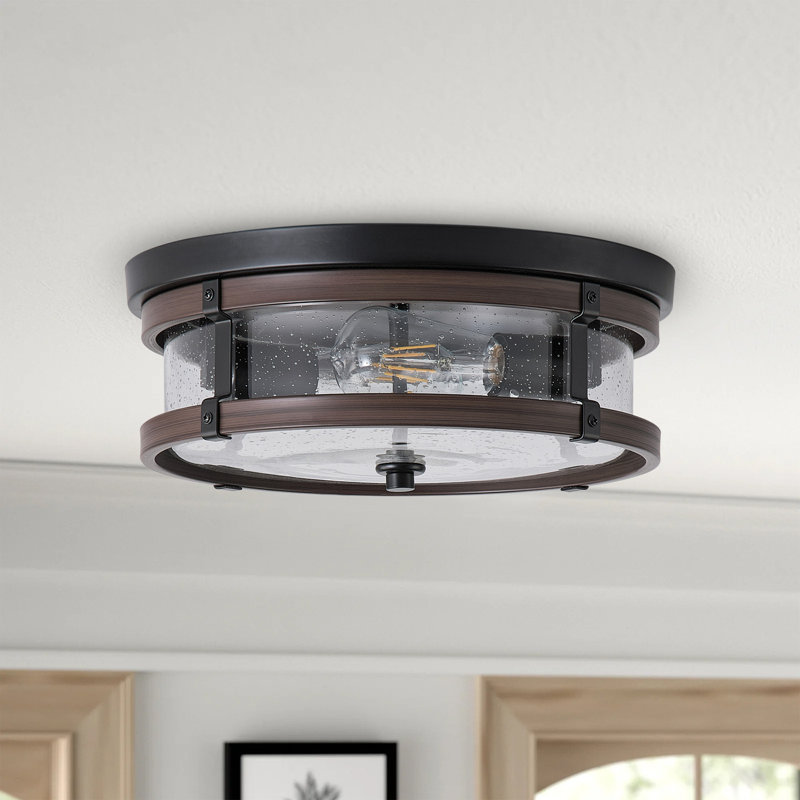 2-Lamp black dimmable glass iron Ceiling light
