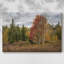 Toile tendue Woodland-666219344