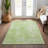  Caseville Area Rug-1391597129