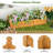 Outdoor Raised Garden Bed