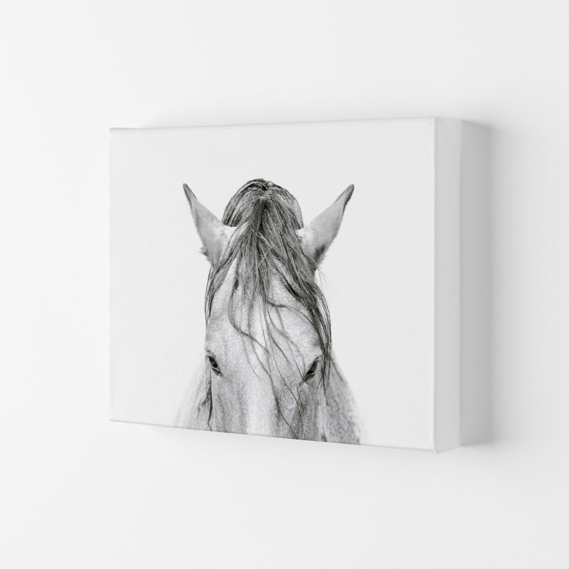 Horse II by Victoria Frost - Print, 21cm H x 29.7cm W x 4cm D, Wrapped Canvas