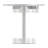 Premium Tulip Dining Table