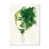 Toile blanche avec cadre photo