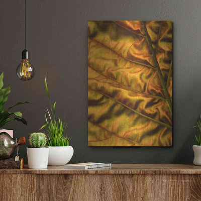 «Golden Desert» par Luxe Metal Portfolio