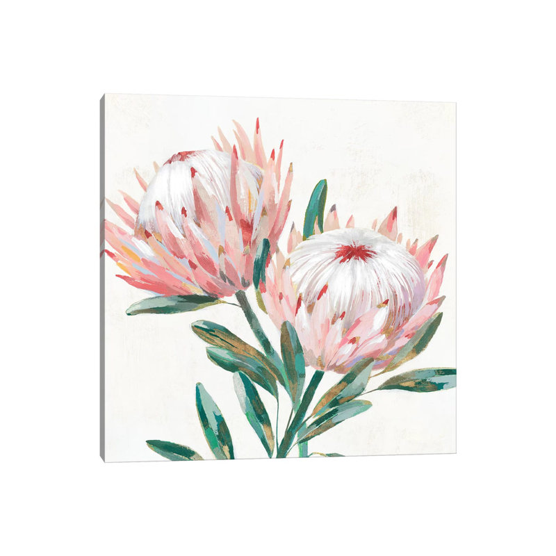 King Protea I by Isabelle Z - Painting on Canvas, Wrapped Canvas, 45.72 cm H x 45.72 cm W x 3.175 cm D