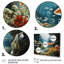 Aquariums Aquatic Assemblage An - reproduction-1949990748-1949990743