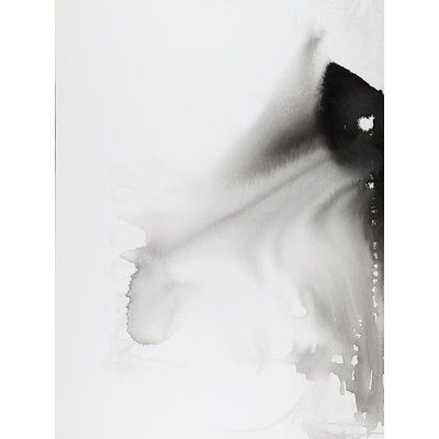 Black Splash I Print by Joyce Creiger