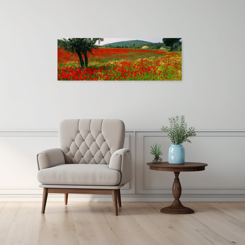 Red Poppies In A Field Turkey by Nick Meers - Wrapped Canvas Panoramic Print, 30.48 cm H x 91.44 cm W