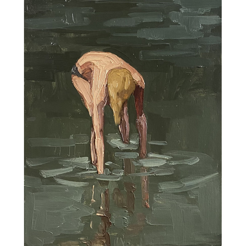 Shell Seeker