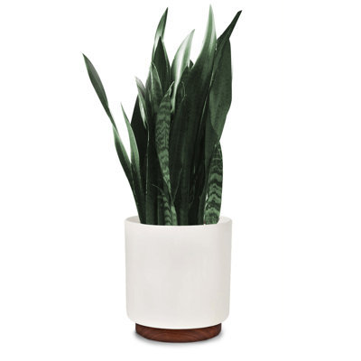 Pot Planter