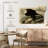 Brampt Whiteheaded Eagle-108126462