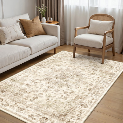 Oriental Area Rug