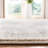Domenic 800 Performance Oriental Rug-729963148