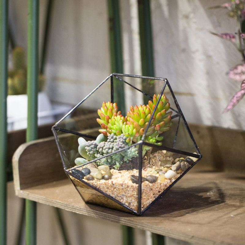 Bonsell Pot Planter