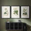 Antique Turpin Botanical I - reproduction sur mesure encadrée de qualité supérieure - 3 pièces-1422332536-1422332537