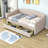 Shivansh Upholstered Daybed with Two Drawers-755733153