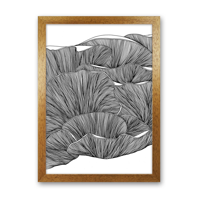 Oyster Mushrooms BW by Carissa Tanton - Print, Oak Framed, 34cm H x 25cm W x 3cm D