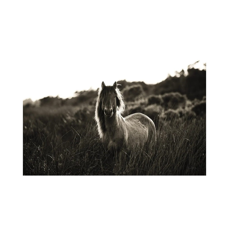 Evening Glow by Aledanda - Wrapped Canvas Print, 20.32 cm H x 30.48 cm W
