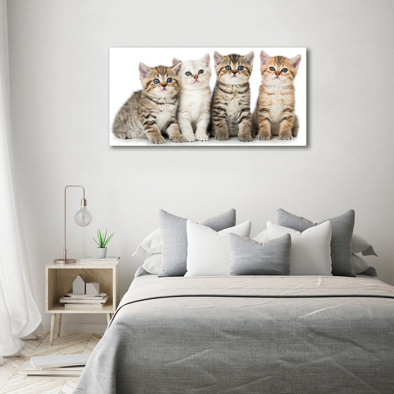 Small Cats - Wrapped Canvas Print
