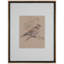 Dove Rest XI Print by Daughdrill