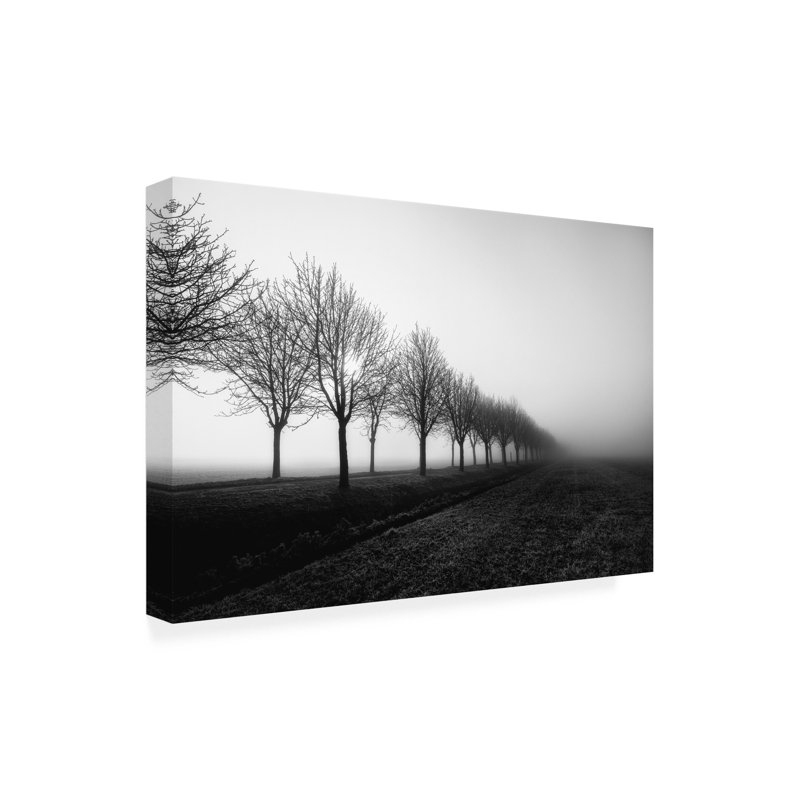 Art sur toile «bolologien» par Christophe Colomb, H 16 po x l 24 po
