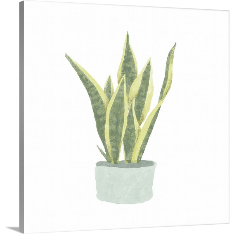 Art mural sur toile Snake Plant III, H 36 po x l 36 po, Toile tendue